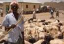 Clan fighting threatens Somaliland’s independent, hard-fought security
