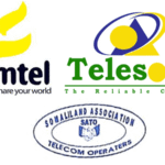 Where Is Somaliland's Telecom Tax Money?